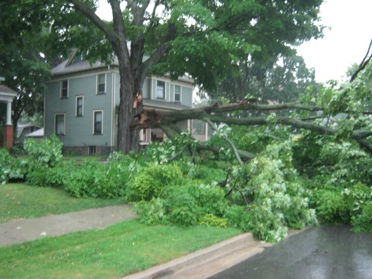 Severe Squall Line in Eastern Michigan