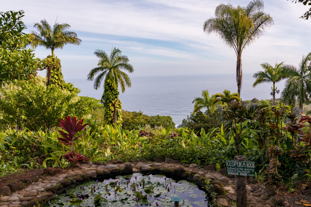 Keopuka Rock featured in the opening scene of the original Jurassic Park movie