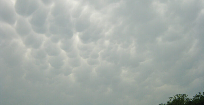 Mammatus