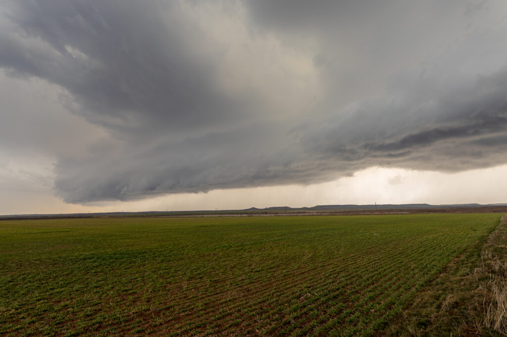 Olustee Oklahoma Shelf Cloud